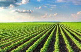 evidența terenuri agricole hărți - agroexpert.md