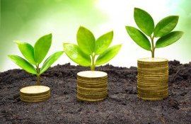 subvenții în avans și post-investiție - agroexpert.md