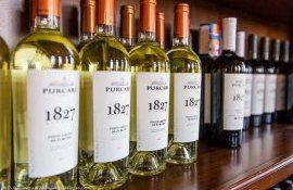 Винодельни Purcari Wineries могут похвастаться высокой прибылью и урожаем - agroexpert.md