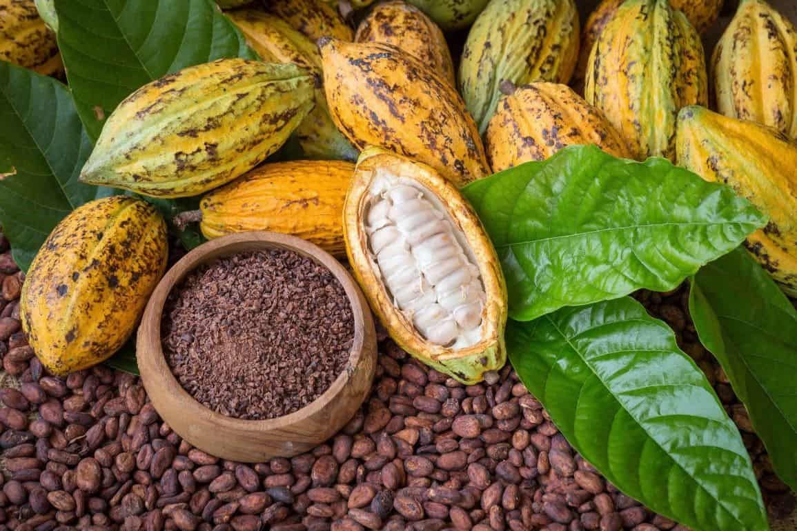Цены на какао впервые превысили четыре тысячи долларов - agroexpert.md