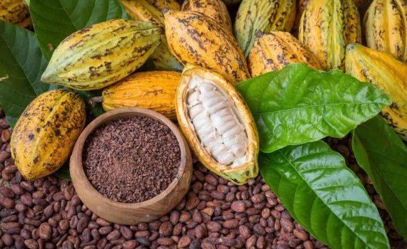 Цены на какао впервые превысили четыре тысячи долларов - agroexpert.md