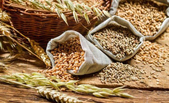comerțului cu cereale în R. Moldova - agroexpert.md