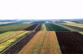 terenuri asigurate - agroexpert.md