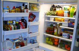 păstrare alimente frigider ANSA - agroexpert.md