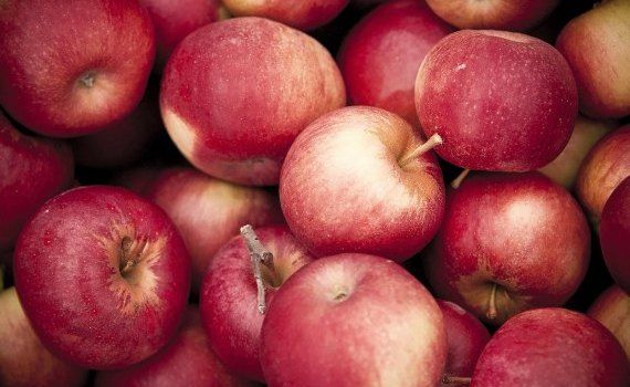 mere Moldova Fruct prognoză recoltă - agroexpert.md