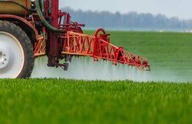 Дискуссии завершены - в ЕС разрешение на глифосат продлено на 10 лет - agroexpert.md