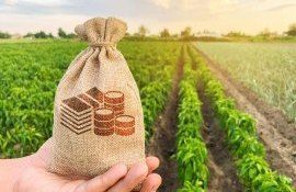 Bolea ajutor financiar agricultori - agroexpert.md
