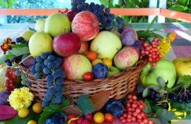 export prune mere struguri MAIA - agroexpert.md