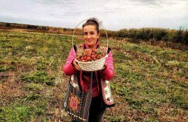 Fermierii se adaptează la schimbările climatice - agroexpert.md