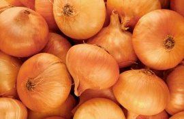 В Молдове дешевеет лук низкого качества - agroexpert.md    