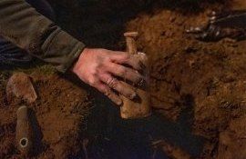 Семена-зомби проросли через 144 года после хранения в простой бутылке - agroexpert.md