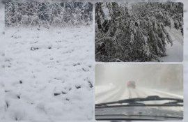 primii fulgi Moldova - agroexpert.md