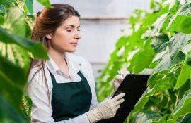 Ziua Internațională a Femeilor în Afaceri - agroexpert.md