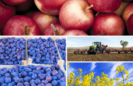 Подборка самых интересных новостей - agroexpert.md