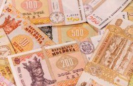 Минтруд РМ готовит проект по размеру минимальной зарплаты на 2024 год - agroexpert.md