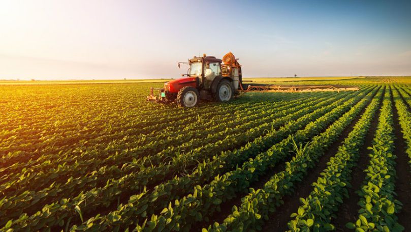 afaceri agricole de familie