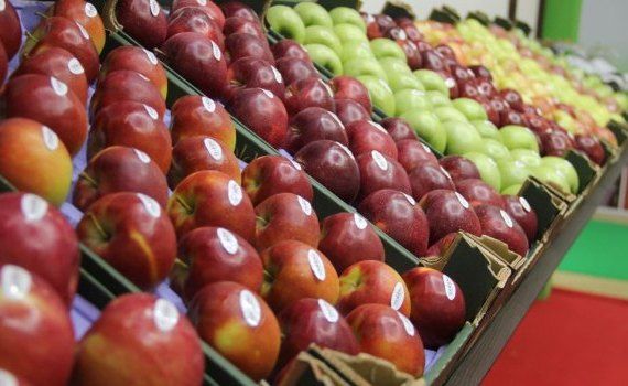 Moldova Fruct: Румыния - важный пункт назначения для молдавских фруктов - agroexpert.md