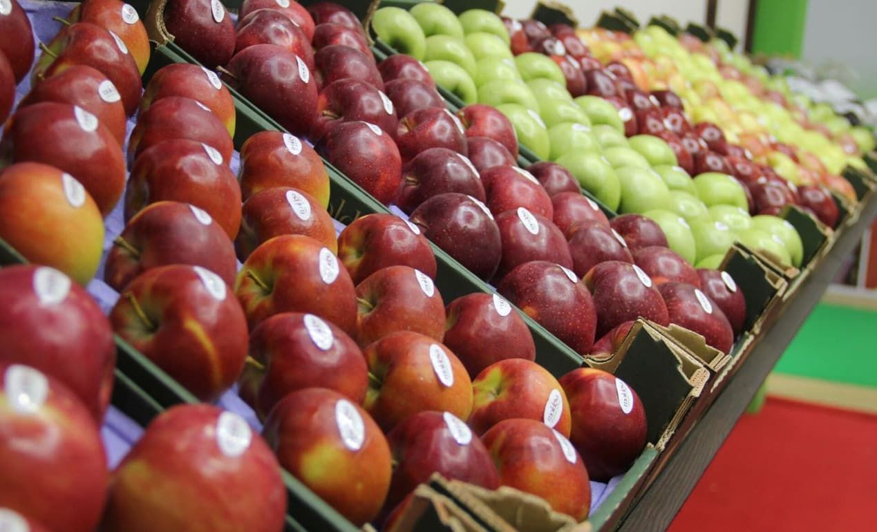 Moldova Fruct: Румыния - важный пункт назначения для молдавских фруктов - agroexpert.md