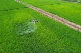 Китайский производитель DJI представил агродрон с «рыбьим глазом» - agroexpert.md  