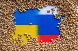 cereale din teritoriile ucrainene - agroexpert.md