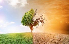 Programul de adaptare la schimbările climatice - agroexpert.md