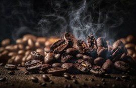 В ЕС уничтожат тонны какао и кофе из-за закона о защите лесов - agroexpert.md