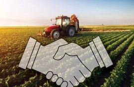 Cooperarea în agricultură subvenții - agroexpert.md