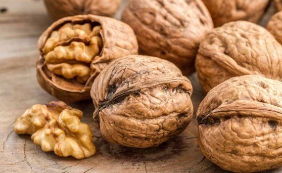 Высокий темп экспорта молдавского ореха в декабре сохранится - agroexpert.md