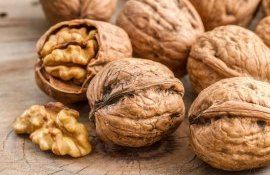 Высокий темп экспорта молдавского ореха в декабре сохранится - agroexpert.md