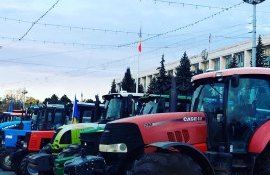 fermieri agricultori ioniță - agroexpert.md