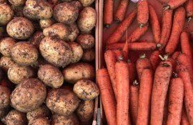 Импорт из Белоруссии сдерживает подорожание картофеля и моркови в Молдове - agroexpert.md
