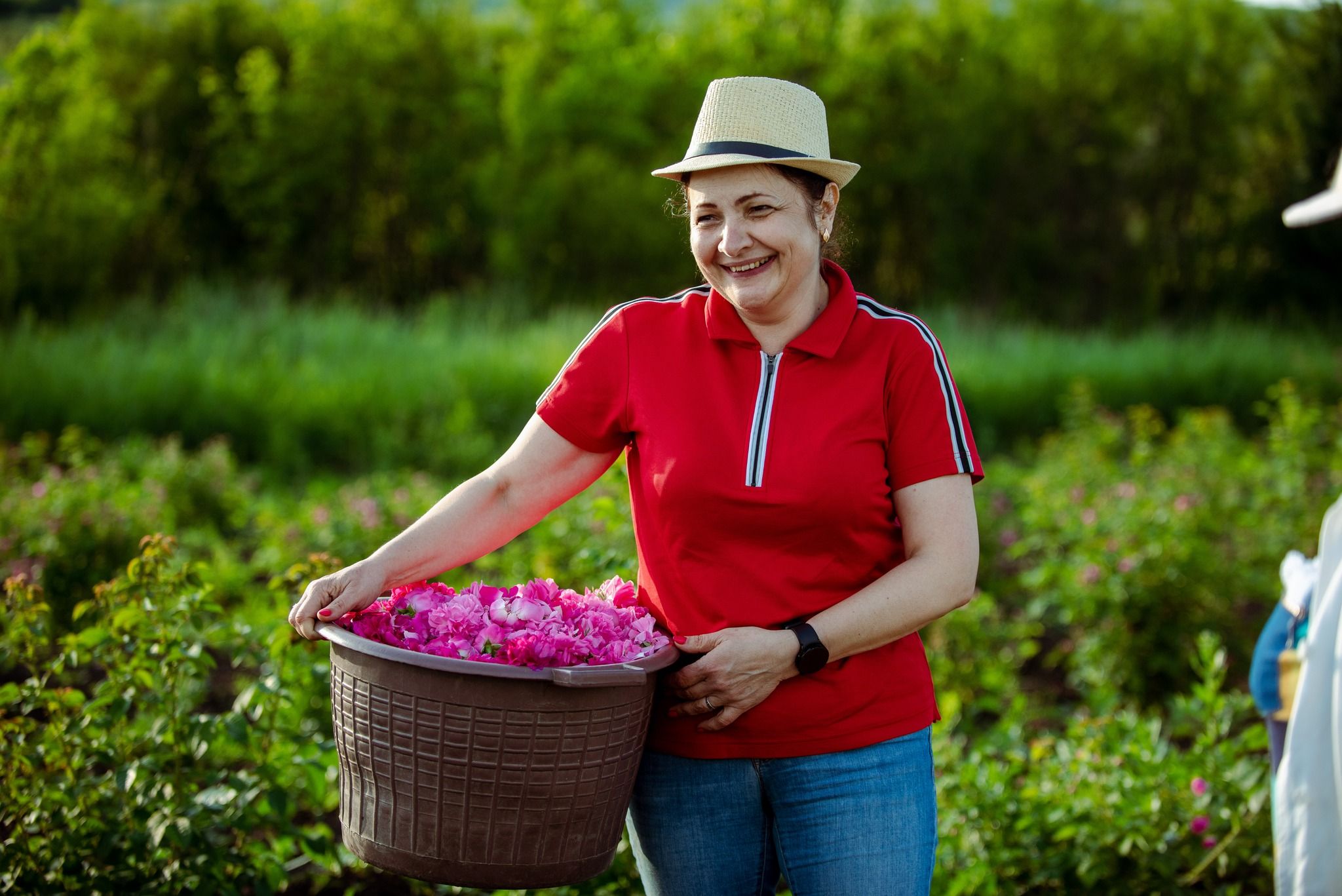 Lucia Ușurelu plante aromate medicinale - agroexpert.md