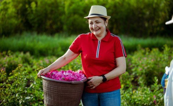 Lucia Ușurelu plante aromate medicinale - agroexpert.md