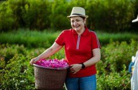 Lucia Ușurelu plante aromate medicinale - agroexpert.md