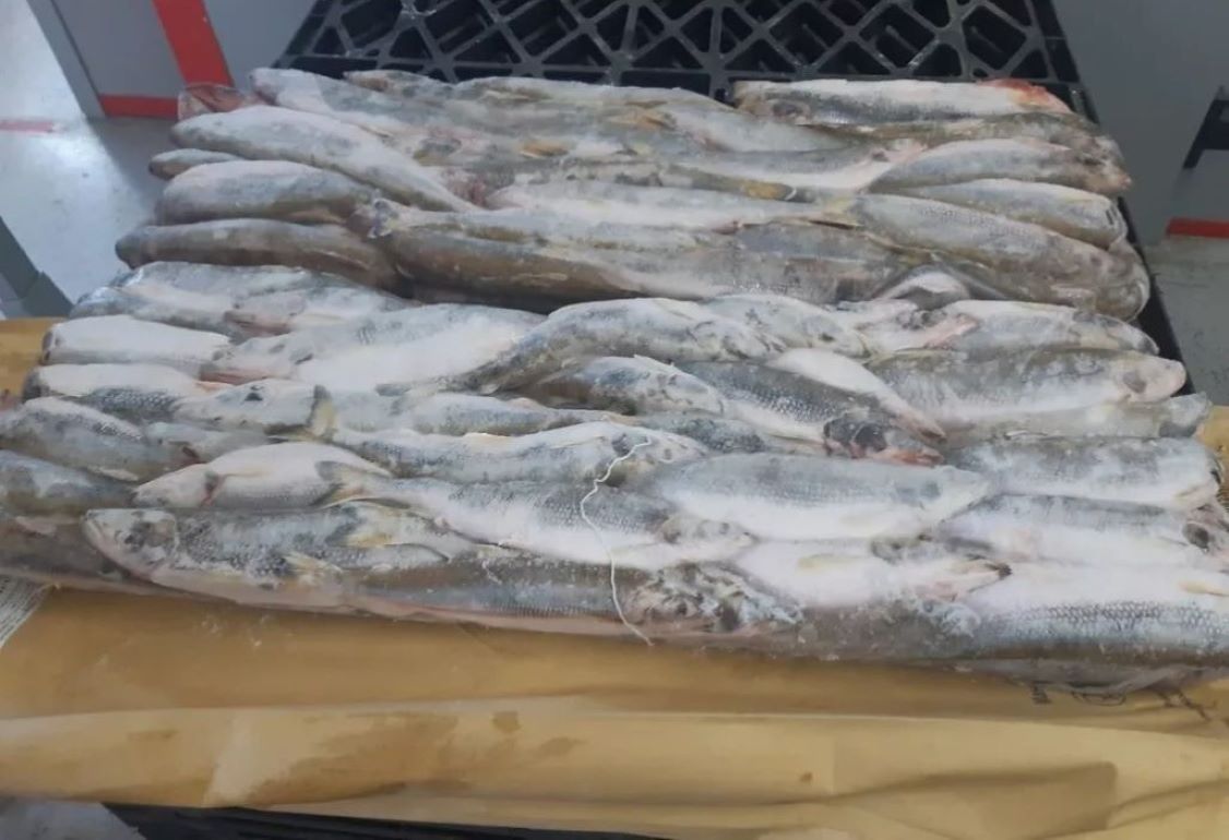 В Молдове рыбный кризис - что об этом говорят врачи? - agroexpert.md