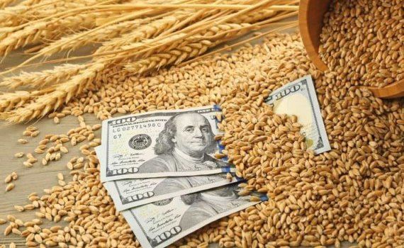 Мировой рынок зерна: пшеница и кукуруза подорожали цены на сою упали - agroexpert.md