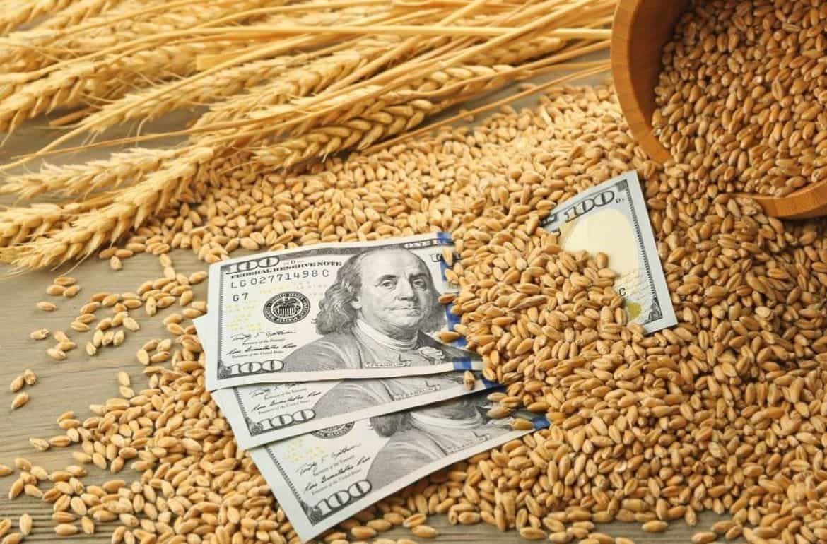 Мировой рынок зерна: пшеница и кукуруза подорожали цены на сою упали - agroexpert.md