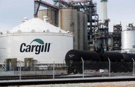 Cargill завершает покупку бразильских активов Granol - agroexpert.md