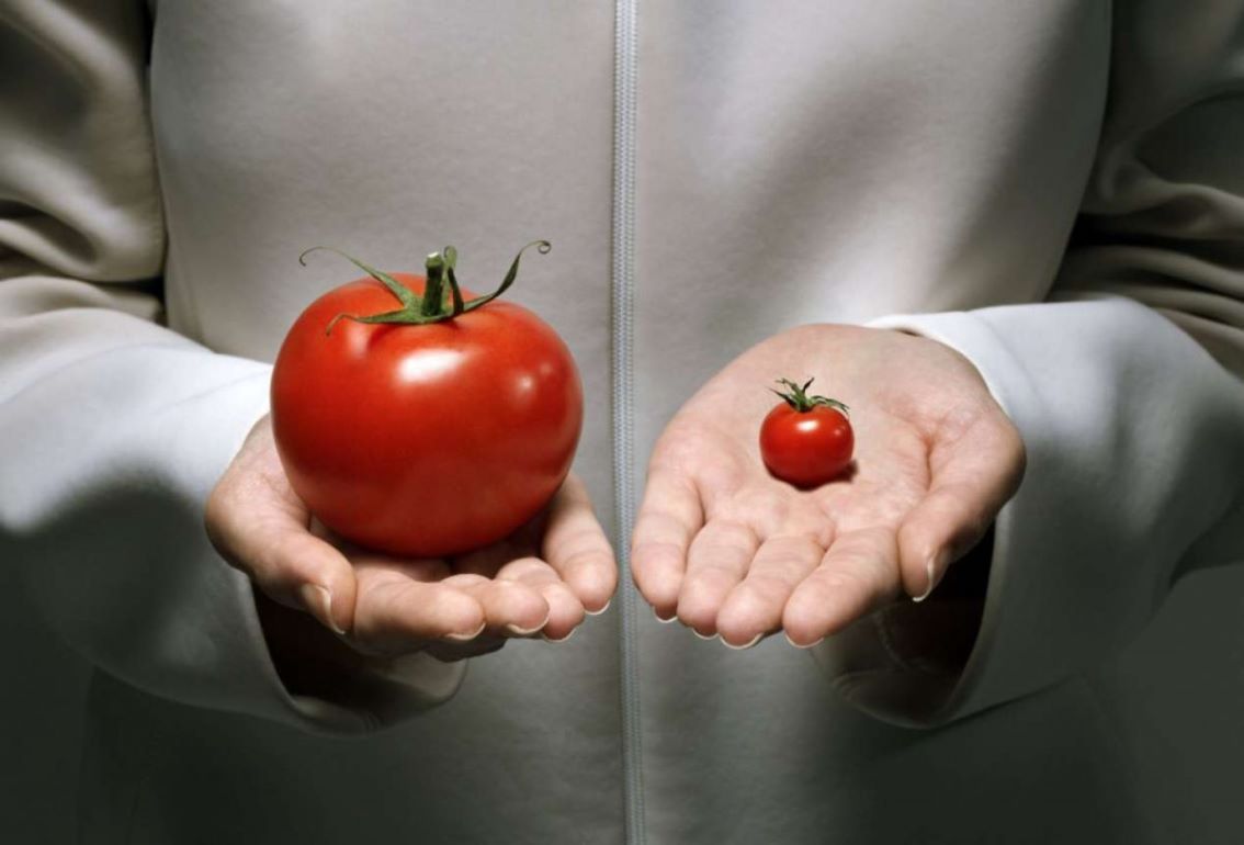 ЕС уведомляет торговых партнеров об изменениях в законодательстве о ГМО - agroexpert.md