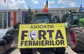 proteste fermieri asociația forța fermierilor Guvern- agroexpert.md