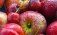 Причина успеха фруктов из РМ в ЕС - выгодная ситуация на рынке - agroexpert.md