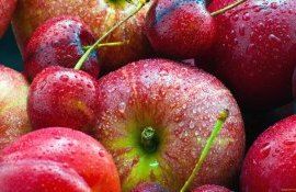 Причина успеха фруктов из РМ в ЕС - выгодная ситуация на рынке - agroexpert.md