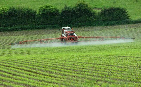 Выбывание химических пестицидов в ЕС продолжается - agroexpert.md