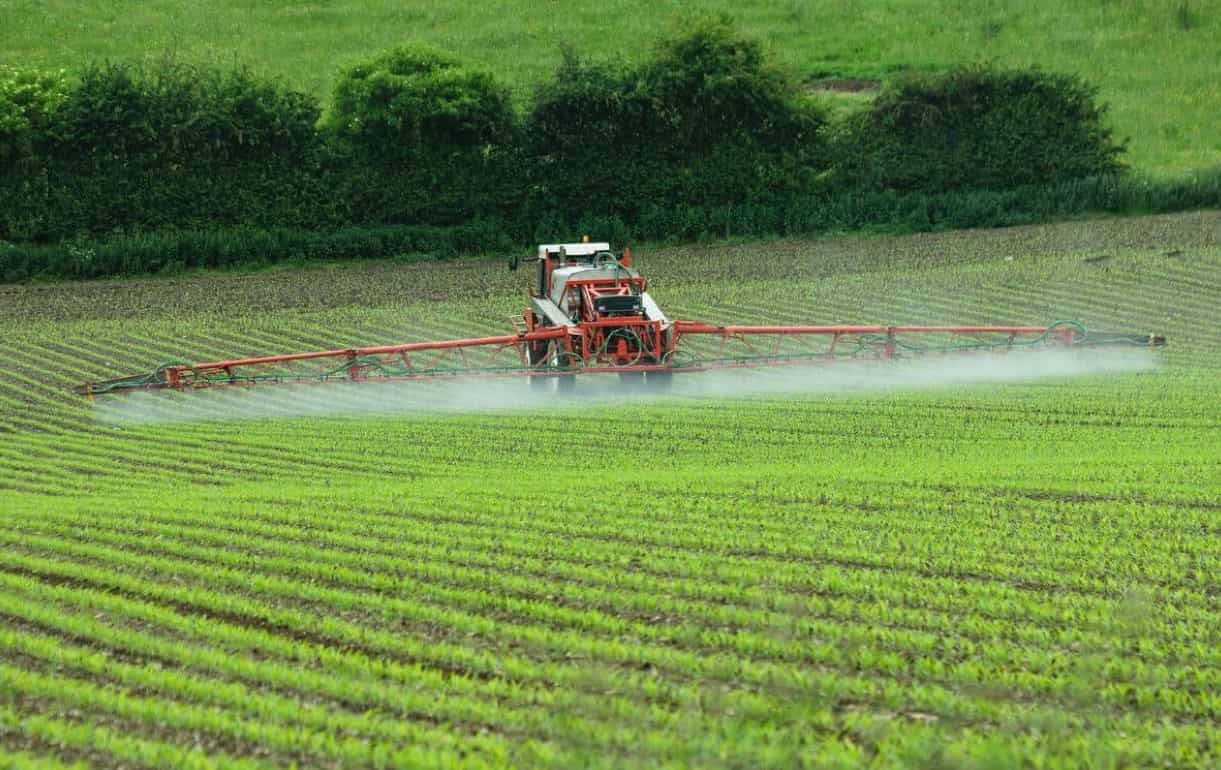 Выбывание химических пестицидов в ЕС продолжается - agroexpert.md
