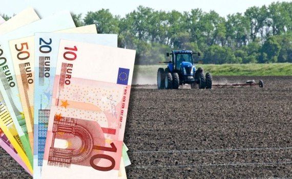 românia plata la hectar - agroexpert.md