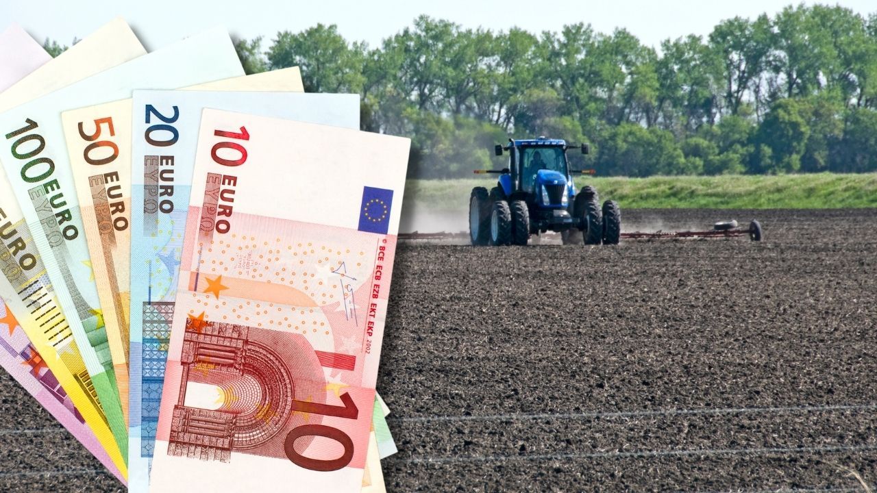 românia plata la hectar - agroexpert.md