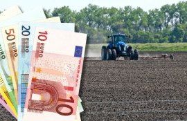 românia plata la hectar - agroexpert.md