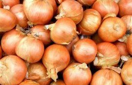 В Молдове похолодание и экспорт подталкивают вверх цены на лук - agroexpert.md