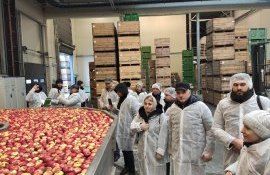 Moldova Fruct vizită de studiu în Polonia - agroexpert.md