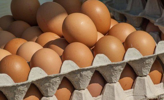 Россия заинтересована в импорте яйца – ввозные пошлины обнуляются - agroexpert.md